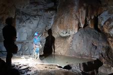 Thumbnail of photo from this article